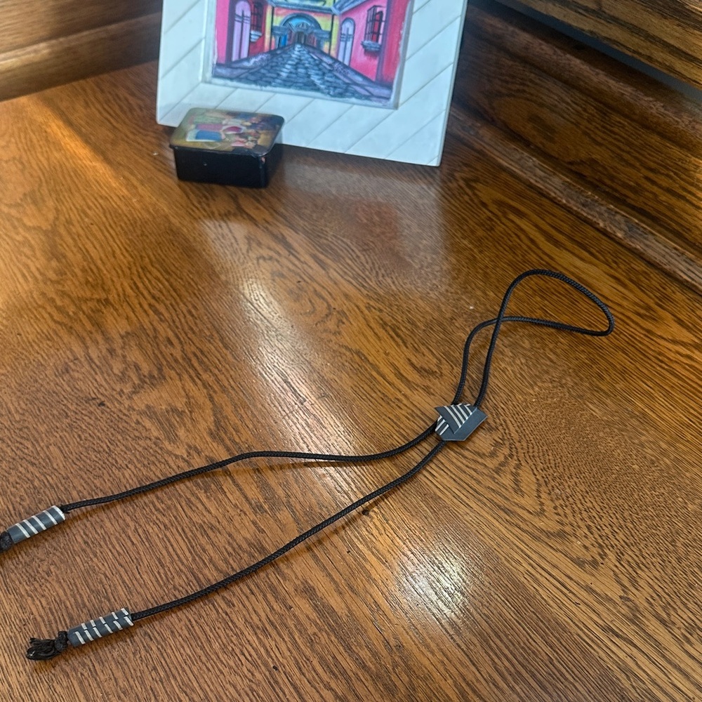 Elegant Black and Silver bolo tie